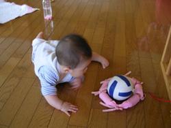 �s�|�b�g�^�[�� �C���[�W